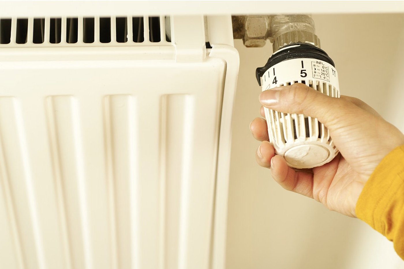 Radiator installed in a living room